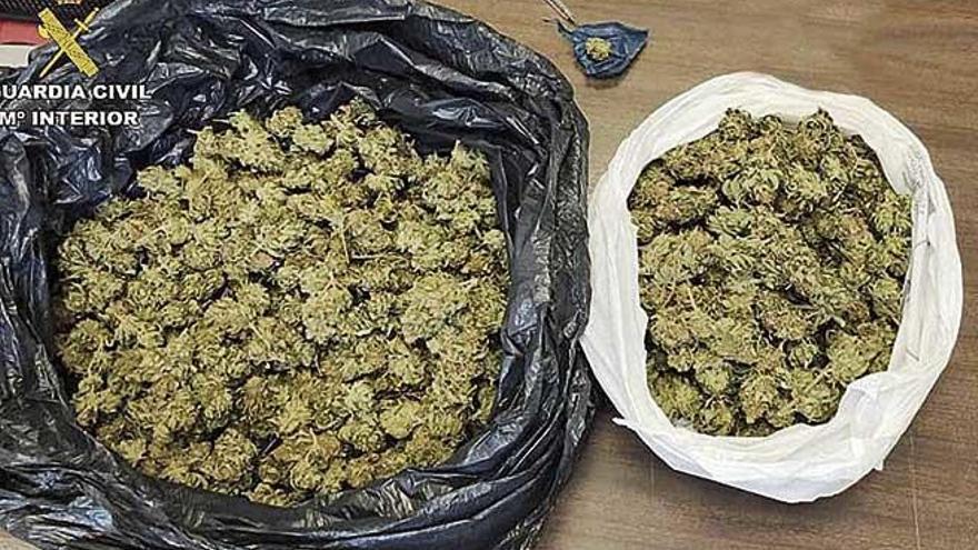 Cogollos de marihuana hallados en un coche en el Port d&#039;AlcÃºdia.
