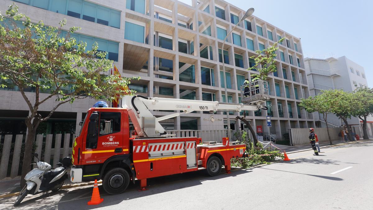 Los bomberos han tenido que cortar el árbol que se ha partido tras el choque.