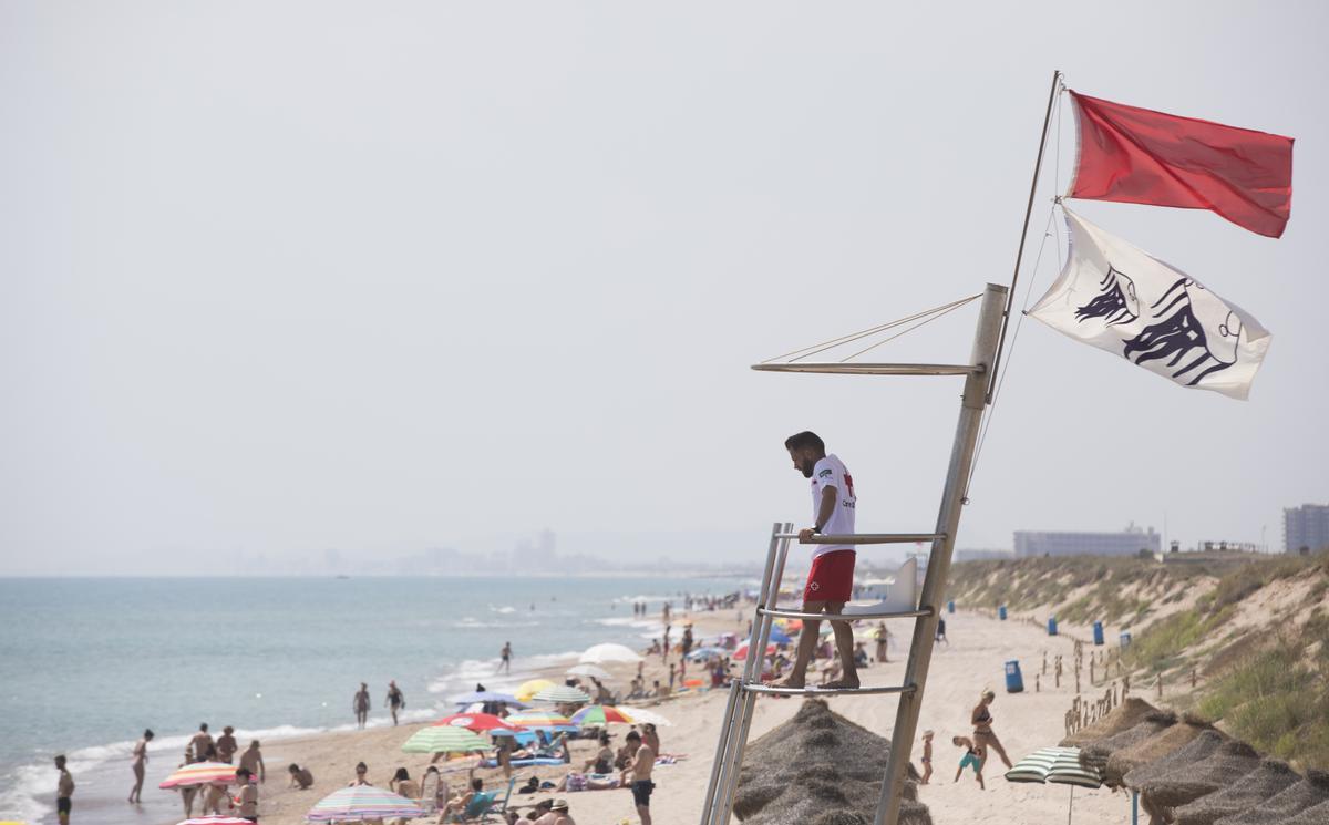 La playa del Saler se cerró en el verano de 2018 por la presencia de la temida Carabela Portuguesa