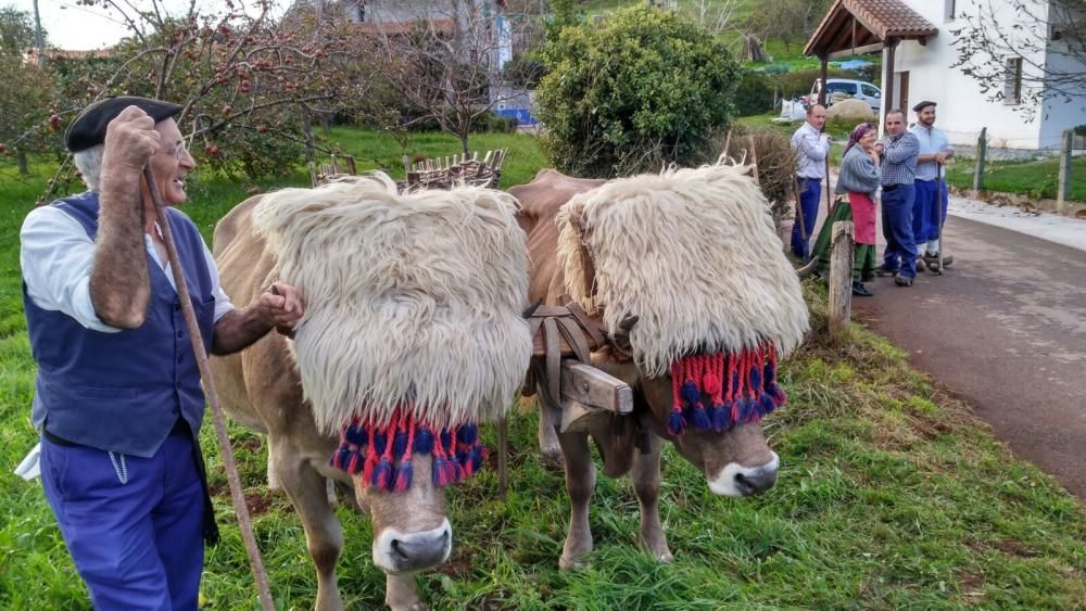 Poreñu celebra el Pueblo Ejemplar con los Reyes