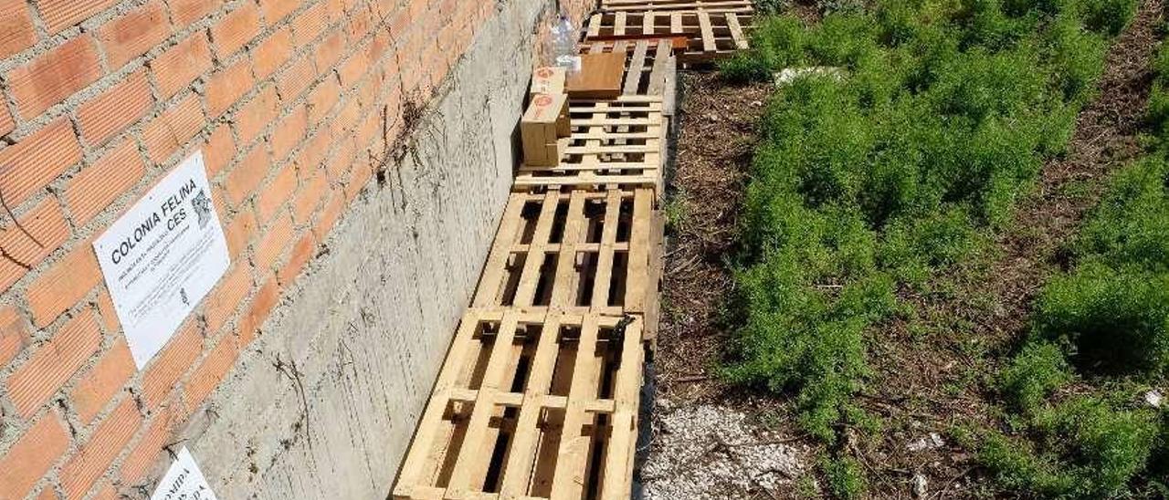 Una colonia de gatos señalizada en la calle Covadonga, en el centro de Mieres.