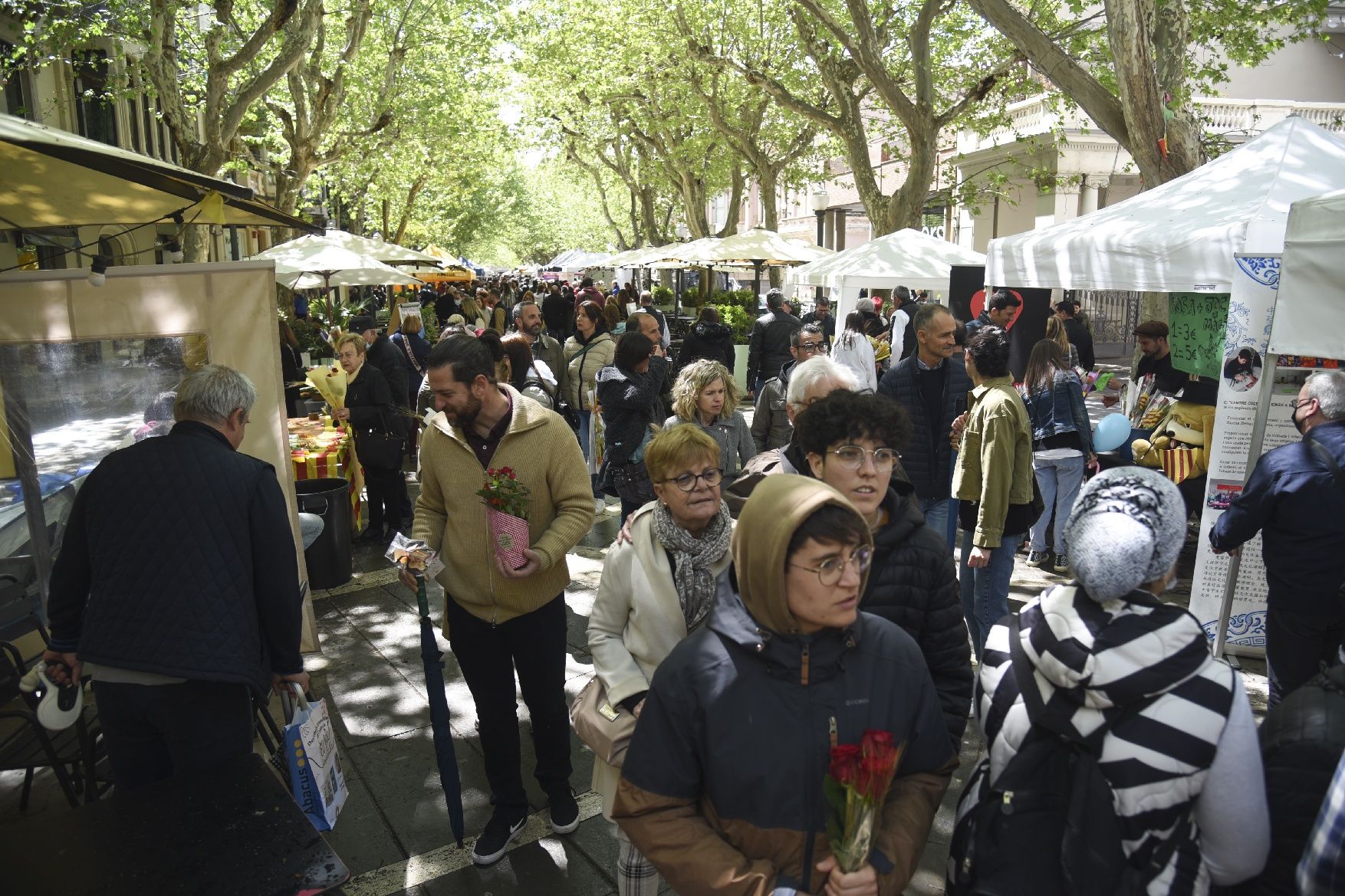 Sant Jordi a Manresa 2022