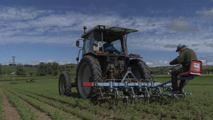 Un agricultor, en Zamora