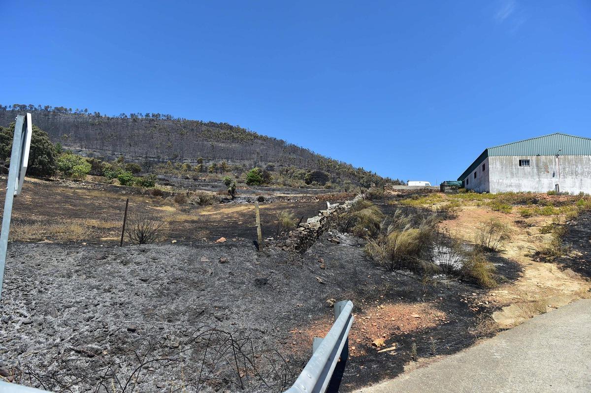Fotogalería | Así ha quedado la zona de Casas de Millán tras el paso del incendio