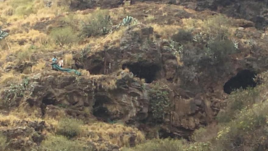 Las dos personas sorprendidas mientras retiraban carteles, vallas y mallas de protección del BIC Cueva de Bencomo.