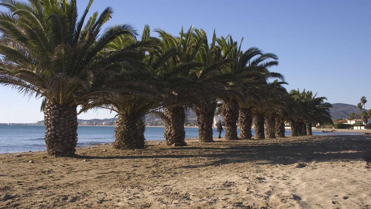 Galería de fotos: El pueblo de Castellón donde pasa los veranos Dani Mateo