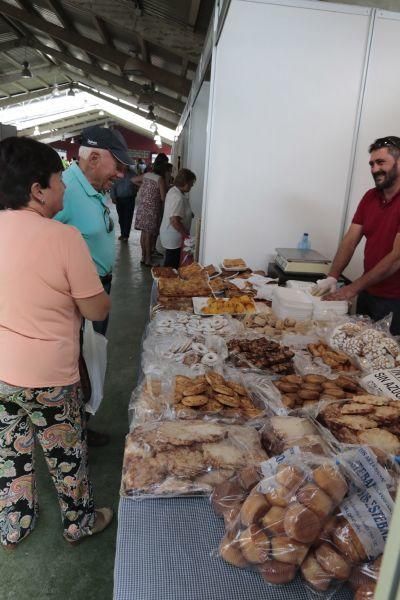 Fiesta de la Trashumancia en San Vitero