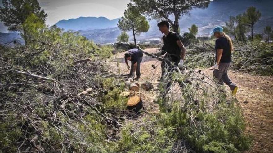 Las brigadas llevarán a cabo trabajos de prevención de incendios forestales.