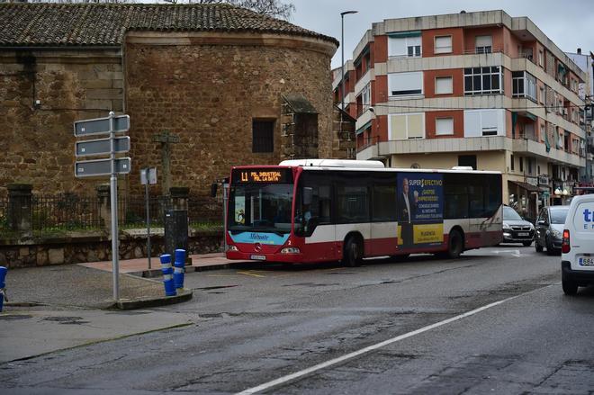 Fotogalería | Balance del servicio de autobús urbano en 2025: más usuarios y bonos
