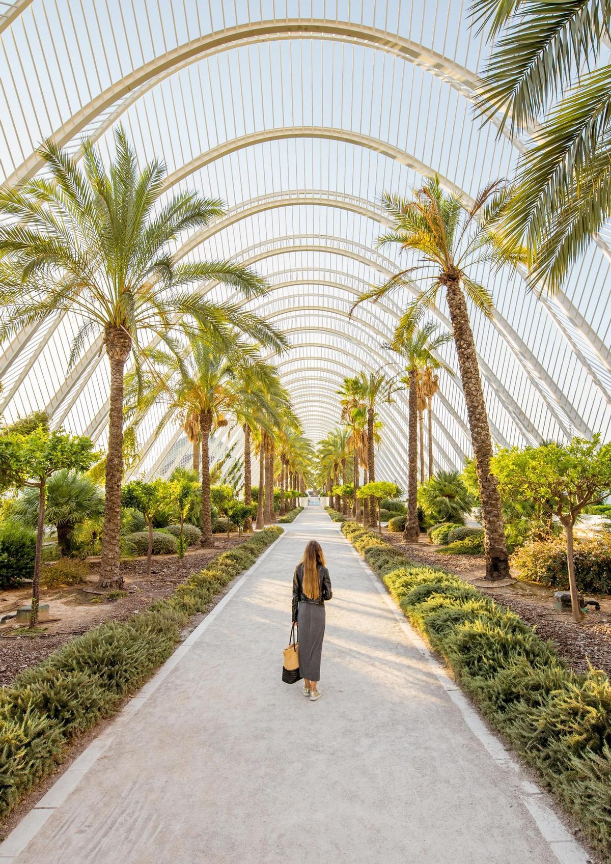 Valencia, donde el sol brilla, las palmeras se mecen y la paella es una delicia imperdible.