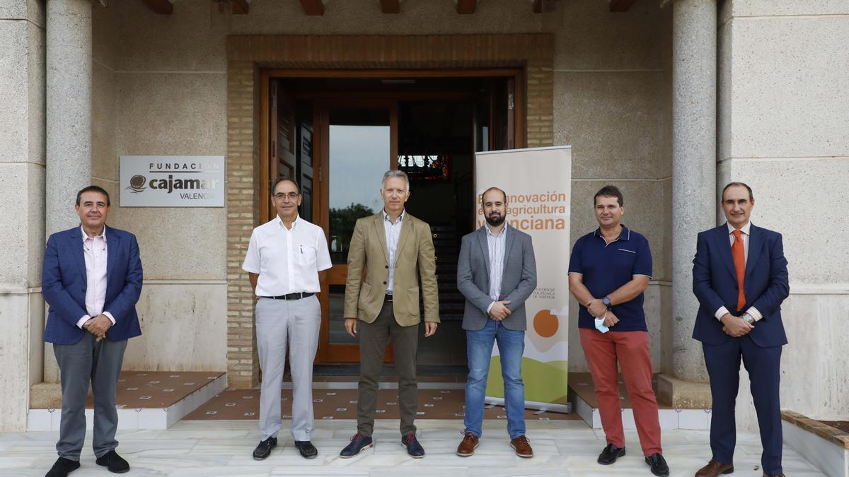 Ecoinnovación en la agricultura valenciana