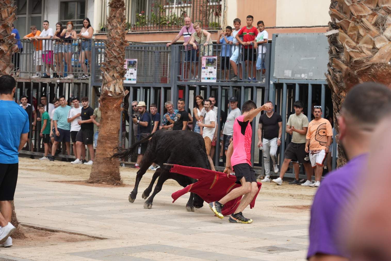 El Grau da inicio a las fiestas de Sant Pere con pólvora, bous y música