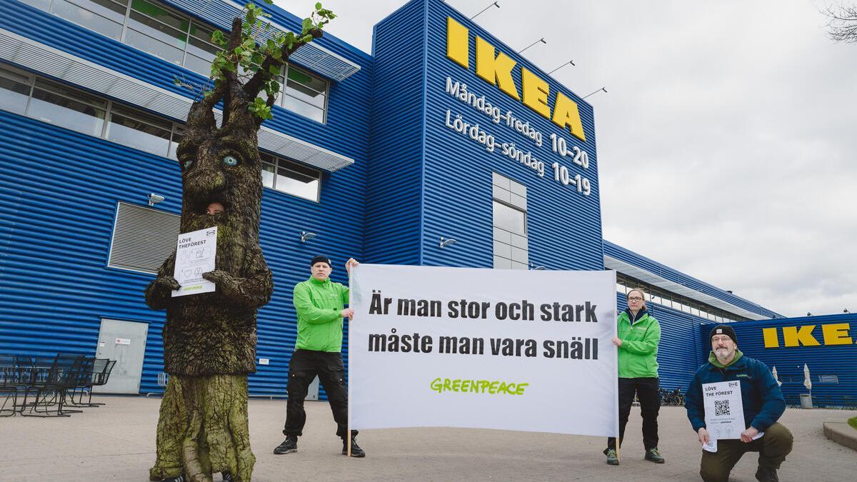 Acción de Greeanpece en una tienda Ikea de Estocolmo para denunciar la tala de árboles