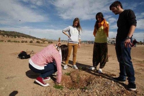 Plantan un bosque en el campus de Espinardo por el centenario de la UMU