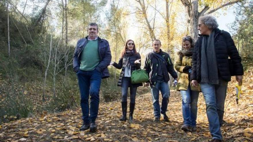 Ayuda de165.400 euros a la gestión forestal de la Vall