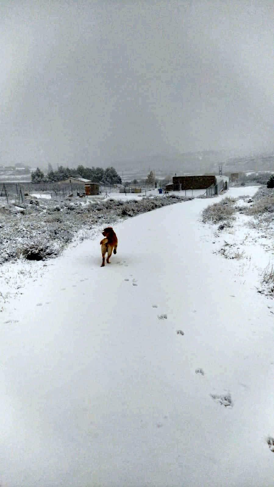 Temporal en Aragón