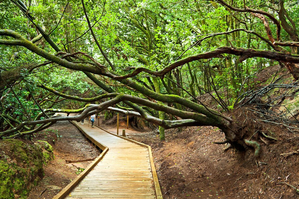 El sendero de los sentidos es muy fácil, corto y accesible.