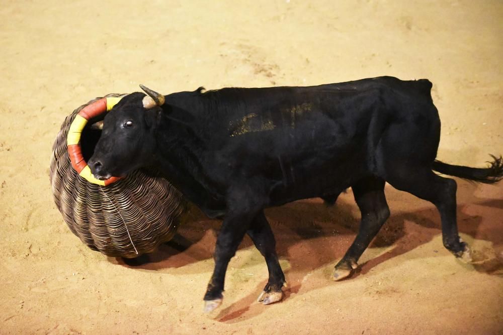 Corre de bou de Cardona