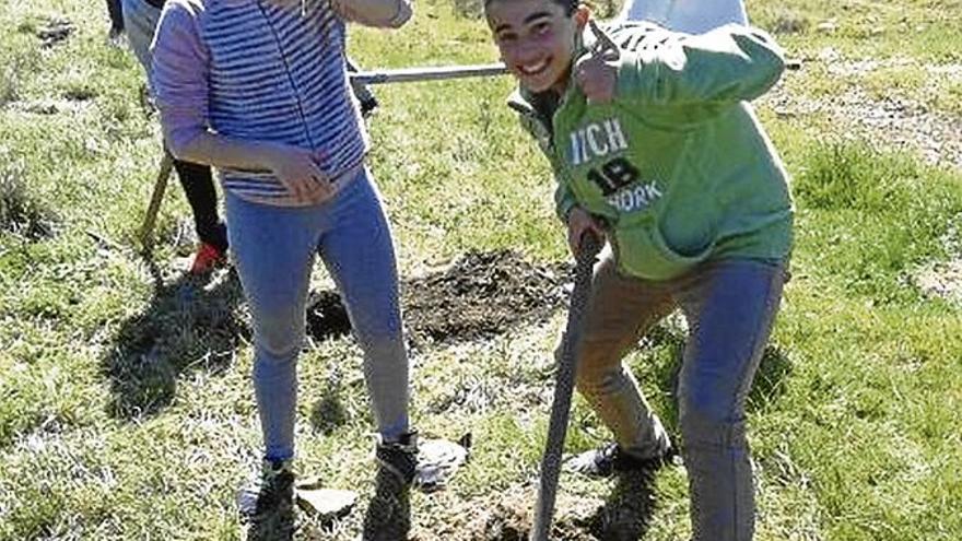 Alumnos del &#039;Maestro Juan Calero&#039; reforestan el cordel Almadén-Sevilla