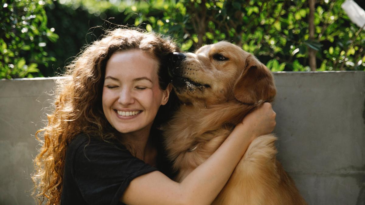 Estas son las prohibiciones de la Ley de Protección Animal.