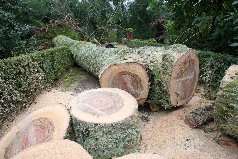 Coletazos del temporal en Tabeirós-Montes