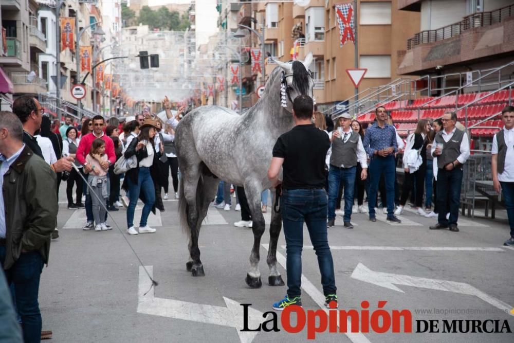 Caballos del Vino: Concurso morfológico (salida Pl