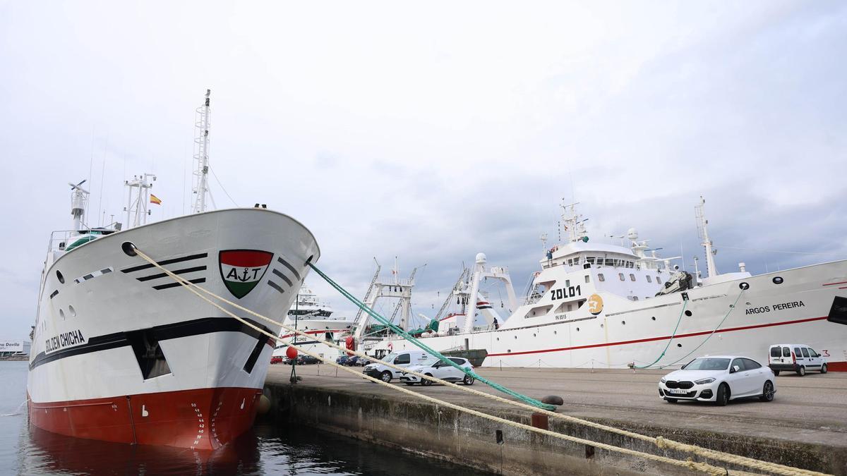 La flota gallega que faena en Malvinas, amarrada en Beiramar.