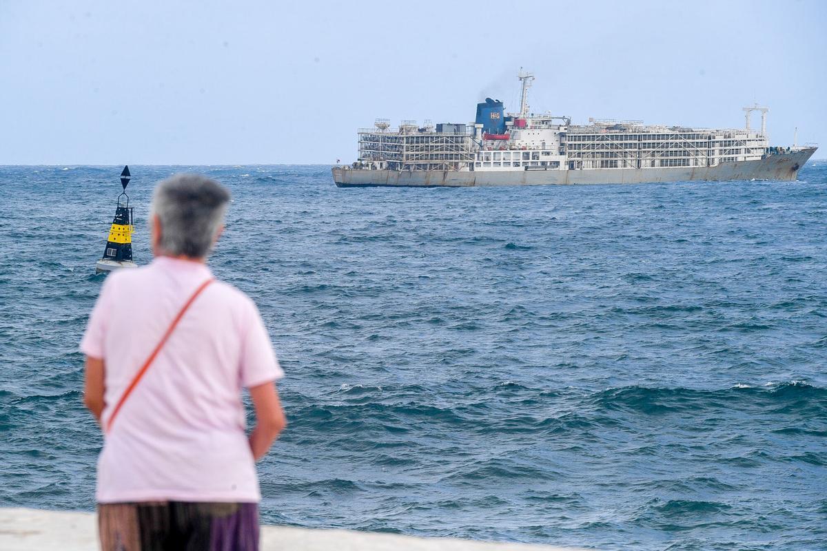 Barco 'Zein I', fondeado cargado de vacas en el Puerto de Las Palmas Barco 'Zein I', fondeado cargado de vacas en el Puerto de Las Palmas