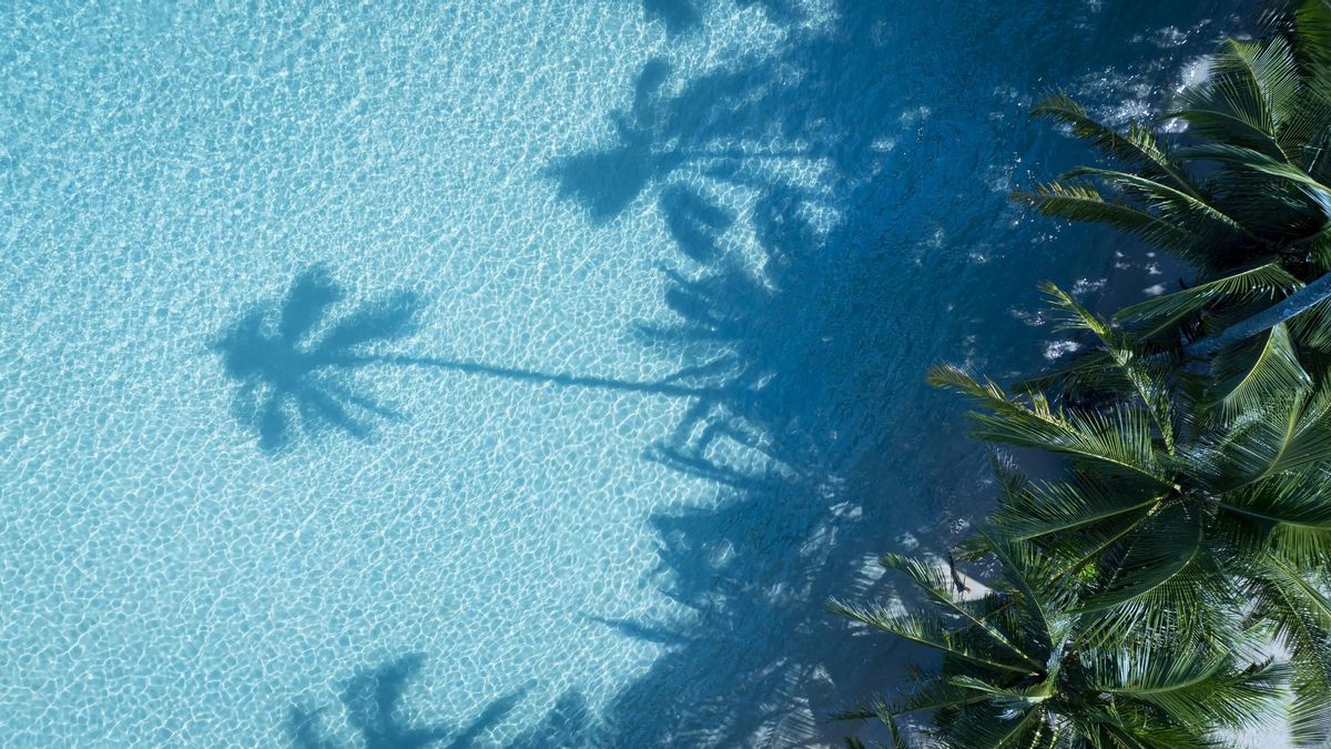 La piscina perfecta si quieres nadar durante horas y refrescarte en verano.
