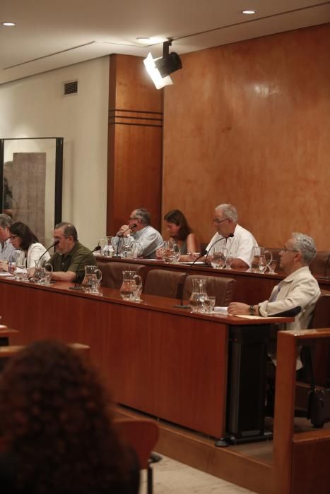 Pleno municipal en el Ayuntamiento de Avilés