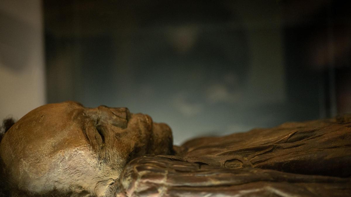 La réplica de la momia guanche que se exhibe en el MUNA de Santa Cruz.
