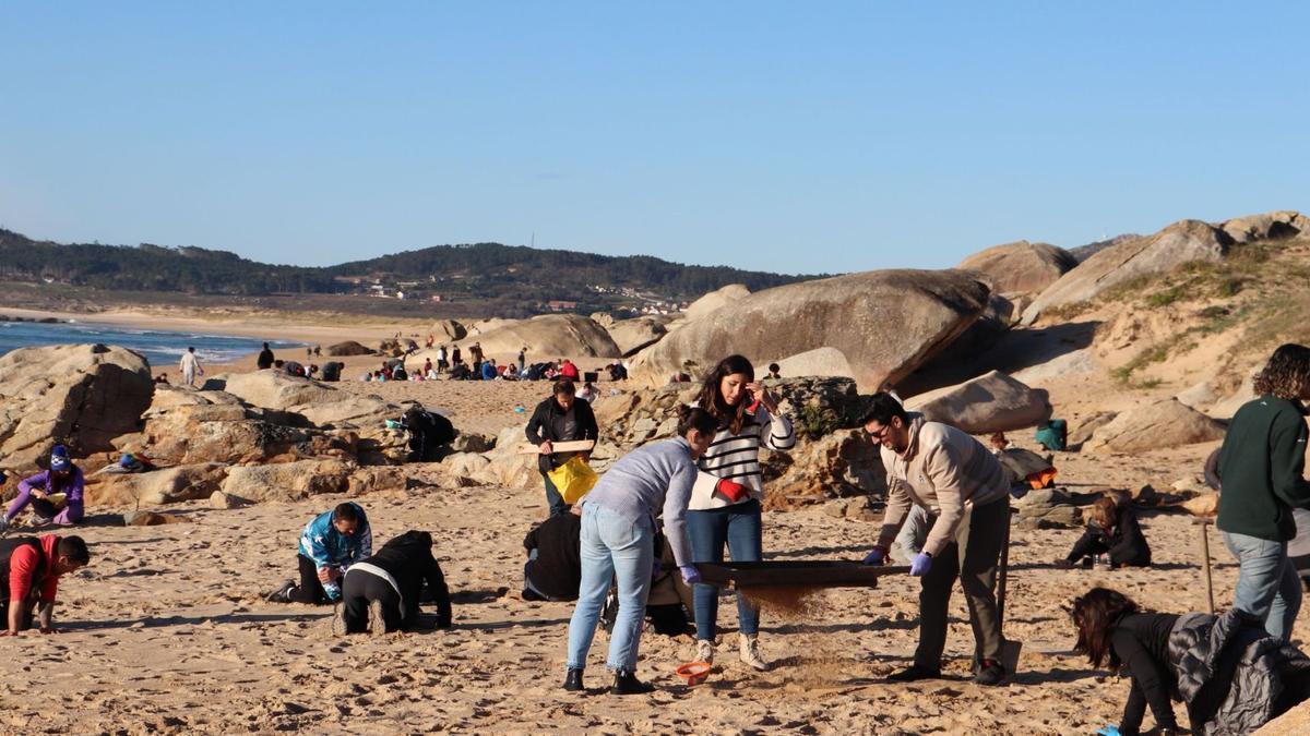 Las bigadas ciudadanas se desplegaron con intensidad en la playa de O Vilar (Ribeira)