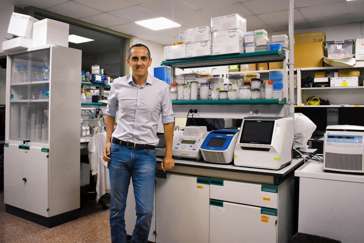 El investigador resalta que el estudio se encuentra en fase de análisis de seguridad previo a ensayos humanos.
