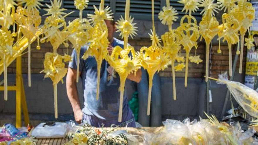 Más de dos mil palmas acompañarán mañana a  «la Burrita»