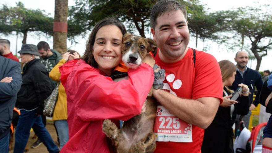 Un día de lo más perro