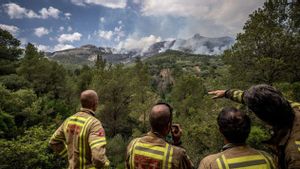 L’incendi de Paüls marca el pitjor inici d’estiu des del 2010