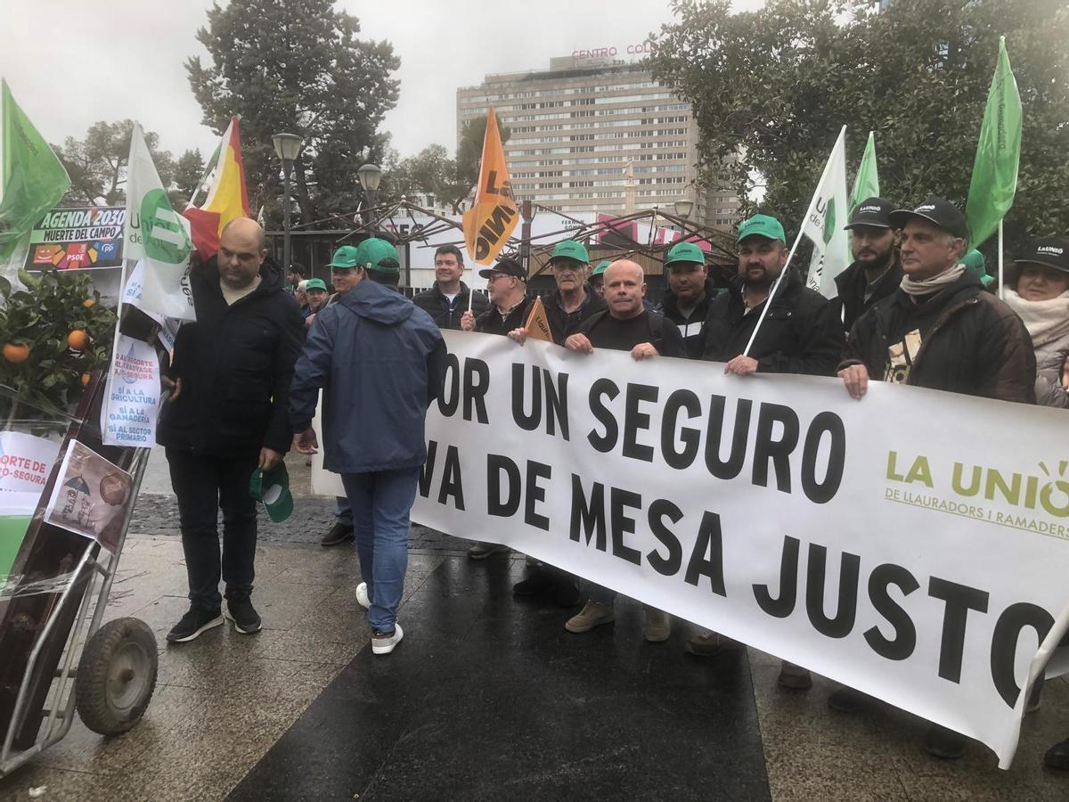Varios centenares de agricultores y ganaderos de la Comunitat Valenciana participan en la protesta.