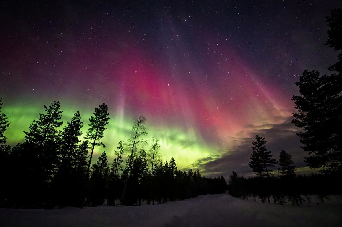 Las auroras boreales iluminan el cielo de Laponia en Rovaniemi, en Finlandia.