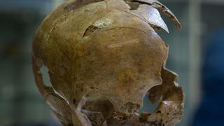 Los neandertales y el Homo sapiens podrían pertenecer a una misma especie