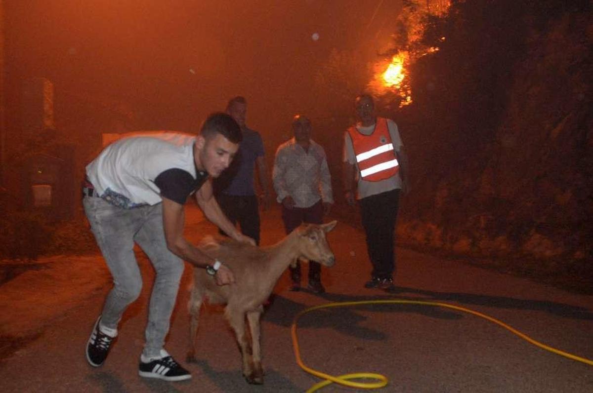 La tragedia negra de 273 incendios