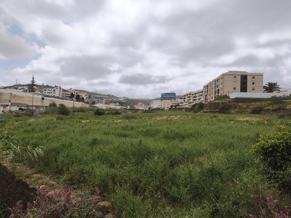 Terrenos en los que se ejecutará el proyecto urbanístico en Guía.