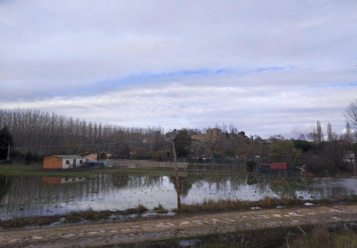 Zona de las huertas en Benavente, con el agua en retroceso. | J. A. G.
