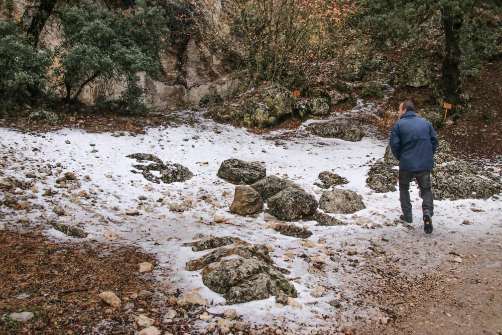 La nieve visita la Font Roja en Alcoy