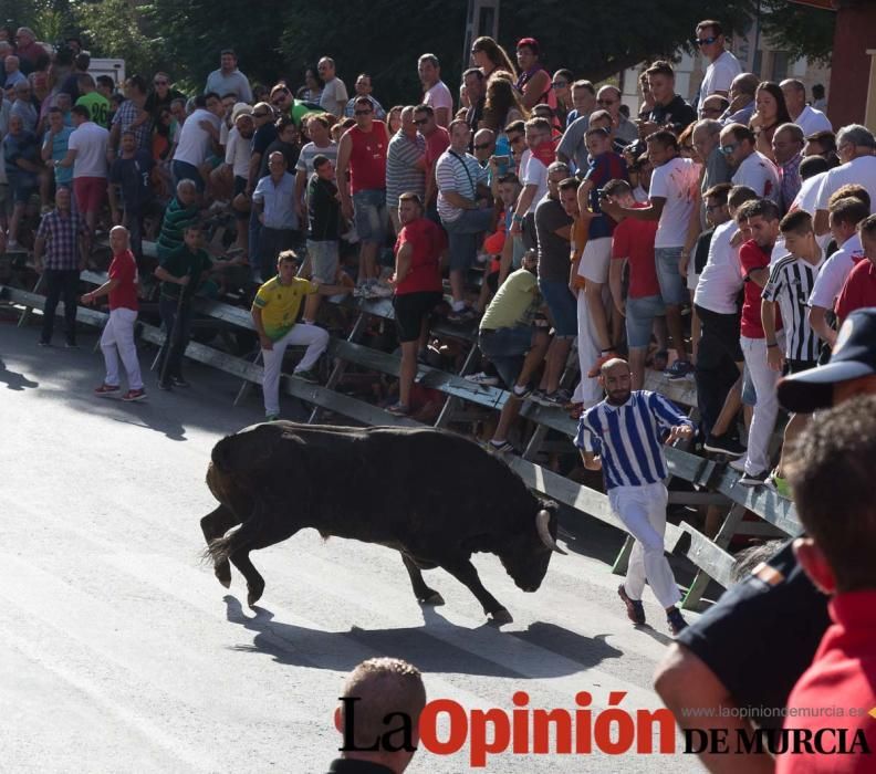 Primer encierro de Calasparra