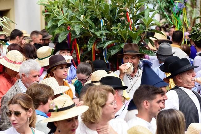 Procesion y Romeria por las Fiestas de las ...