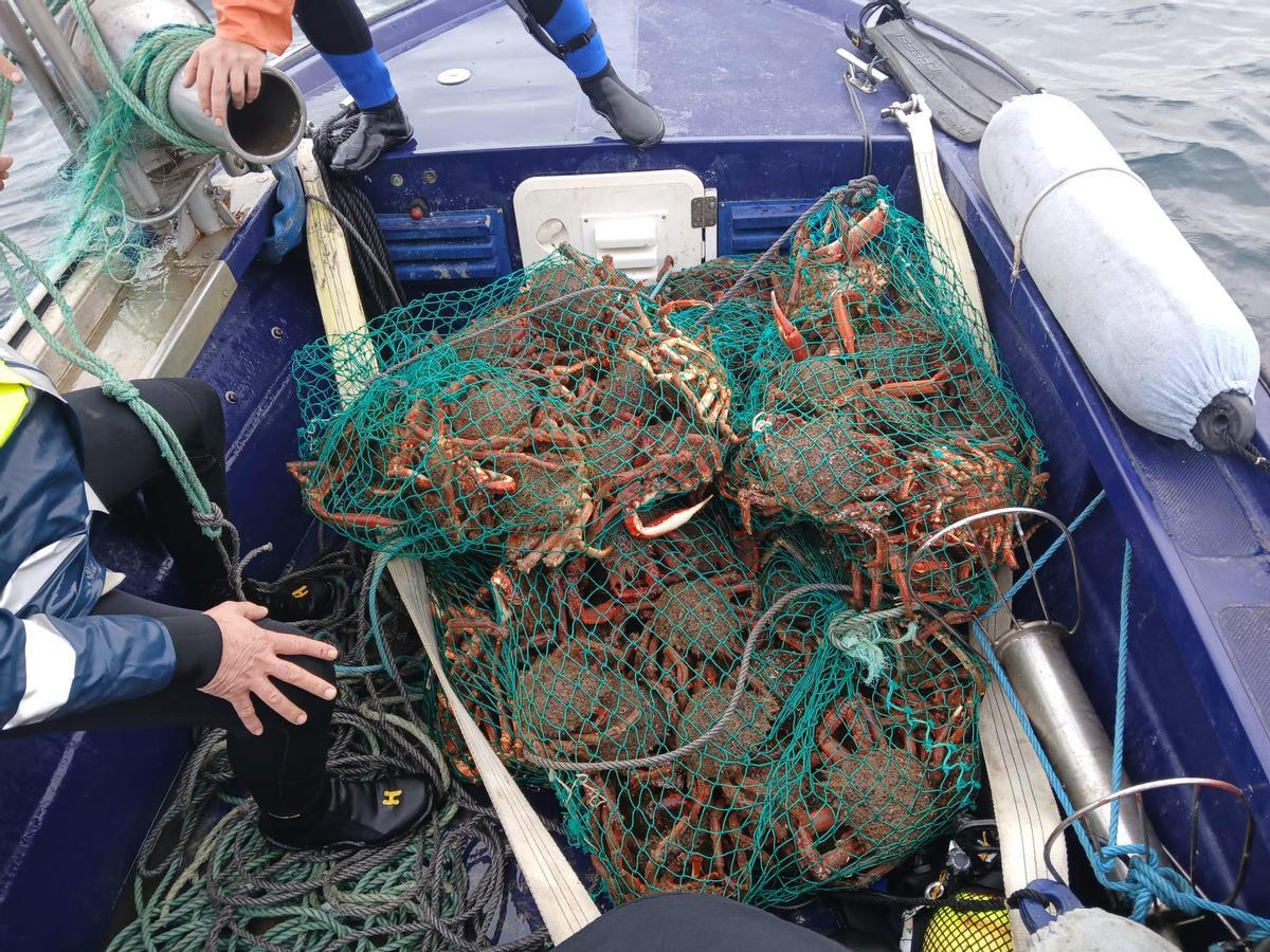 O servizo de Gardacostas comisou 340 quilos de centola.