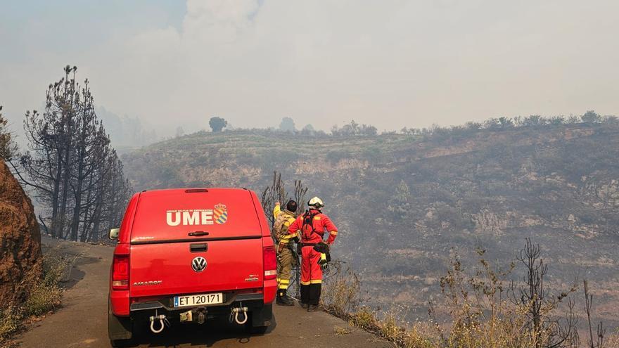 "Decidí salvar la casa": pierde su negocio tras el incendio de La Palma