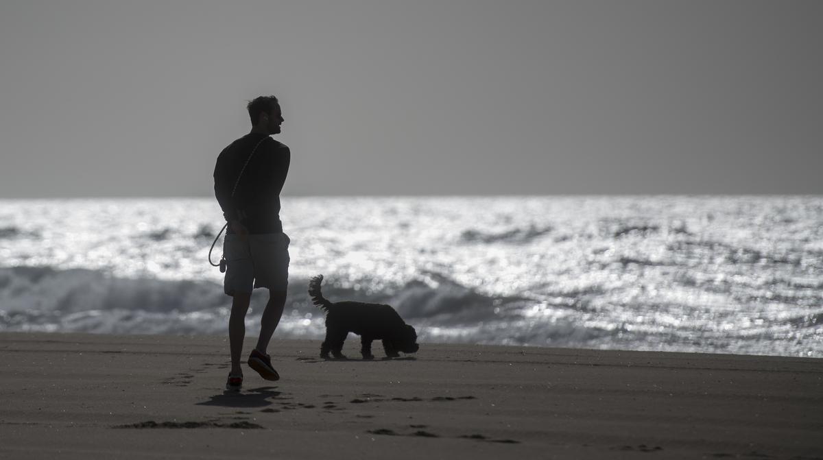 Un hombre junto a su perro en la playa del Baixador de Castelldefels en marzo de 2023.