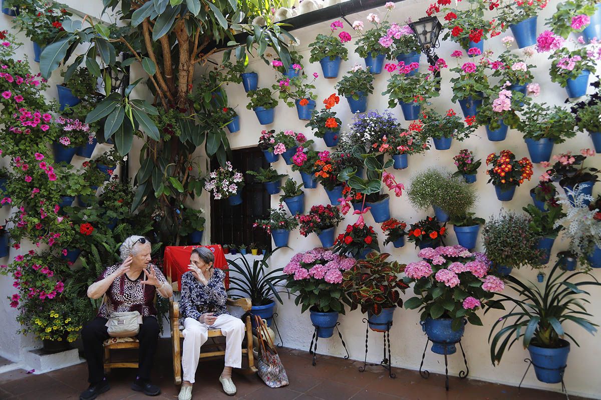 Patio Tinte 9