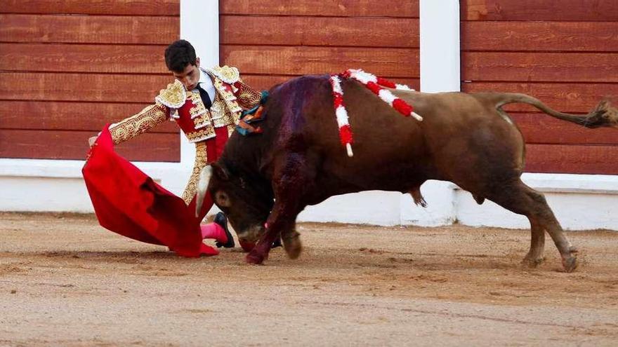 Muletazo de rodillas de Marcos Pérez al tercero de la tarde.